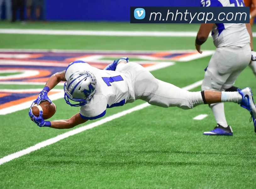 App Interface Preview